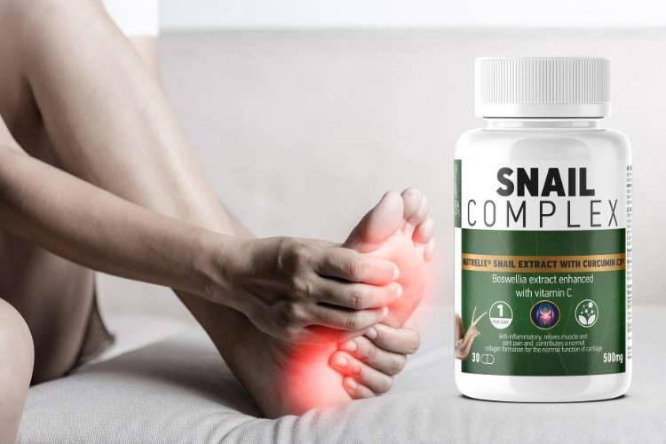 Snail Complex cena